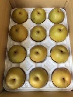 大玉 数に限り有り 新甘泉 3キロ 二箱セット - メルカリ