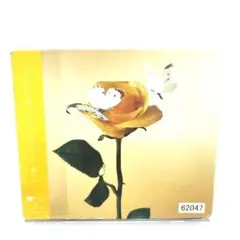 おいしいパスタがあると聞いて 風とリボン　あいみょん　CDのサムネイル