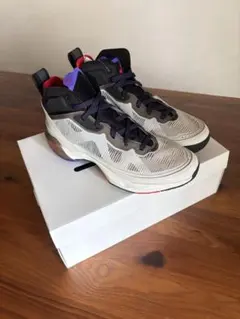 未使用☆NIKE AIR JORDAN 40 EDGE PF 27.5cm - メルカリ