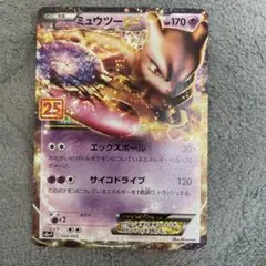 25th ポケモンカードゲーム