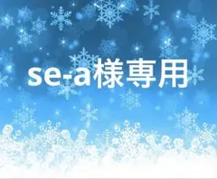 se-a様専用ページ