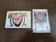 ブルーロック 士道龍聖 カードセット