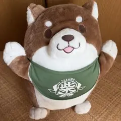 うえまち団子 柴犬 ぬいぐるみ
