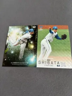 北海道日本ハムファイターズ 柴田獅子 プロ初登板証明書 - メルカリ