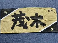 2018年モデル 茂木タオル