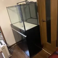 2026年最新】水槽 900 450の人気アイテム - メルカリ