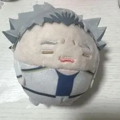 2025年最新】ハイキュー ふわコロりん スペシャル 木兎光太郎の