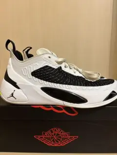 LUKA1 ルカ1