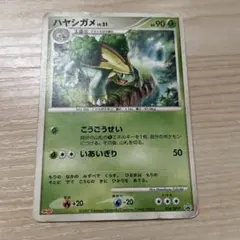 ポッタイシ ハヤシガメ ポケモンカード2枚セット プロモ - メルカリ