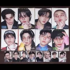 FANS ヨントン VC 8枚 コンプ スキズ KARMA Stray Kids