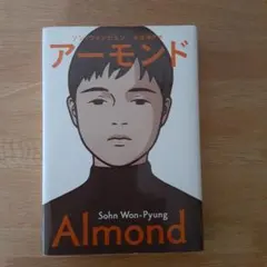 ソン・ウォンピョン アーモンド 小説