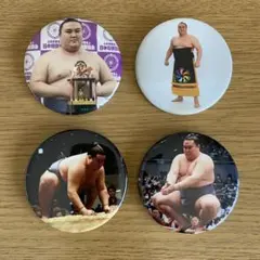 Item thumbnail for item 30ef90da-e23e-429e-a690-97a408d82466