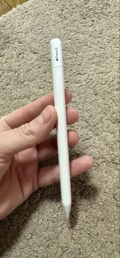 Apple Pencil (USB-C) MUWA32ZA/A