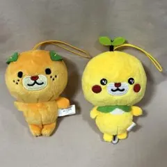 こみきゃん みきゃんちゃん　マスコット 愛媛　ご当地　ぬいぐるみ