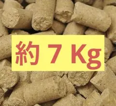 Item thumbnail for item f4349fb0-3752-4427-a9fa-3208e5f9986a