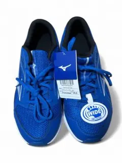 ミズノ(MIZUNO) スニーカー マキシマイザー 26 25 cm