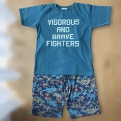 Item thumbnail for item 24447c44-70b2-4f84-8fe2-72e6e32506c2