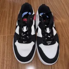 NIKE SB スニーカー ホワイト　ブラック レッド　23cmのサムネイル