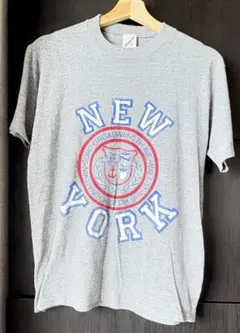 80s JERZEES ヴィンテージ ‼️Tシャツ NY カレッジ L USA製のサムネイル