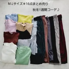 No.10＊MLサイズ16点まとめ売り＊秋冬1週間コーデ♪BEAMS他