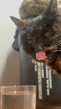 ikura様ご確認用写真