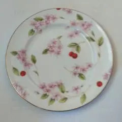 AYNSLEY　プレート　☆お買い得品☆のサムネイル