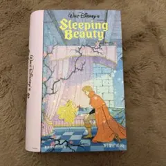 レア 上海ディズニー 眠れる森の美女 お菓子 空缶 缶
