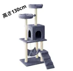 Item thumbnail for item d73966d5-21ee-40be-99c0-06e558fef9a7