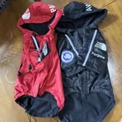 Item thumbnail for item dca49091-ded7-4267-8581-bc1a9e59e43c