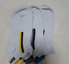 Item thumbnail for item 9b893c6b-4d15-42e8-84e7-95c8fea35161