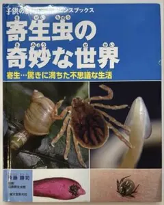 Item thumbnail for item e65c5068-5264-44ce-899b-eed96ed53c5e