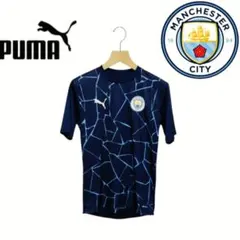 Item thumbnail for item 2e17932c-6d42-4f13-b7e7-42488cf0fd6d