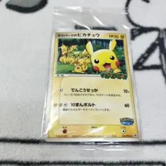 【未開封】ポケパークのピカチュウ PROMO PCG-Pプロモカードのサムネイル