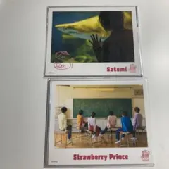 すとぷり　おみくじ　ブロマイド　さとみ　全員　実写