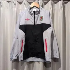 Item thumbnail for item d5e29e95-b257-4434-9094-def96113750a