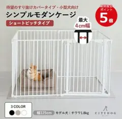2026年最新】citydog ケージの人気アイテム - メルカリ