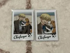 東京リベンジャーズ キャラナップ Buddy Dog 松野千冬