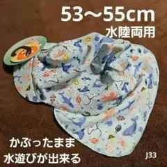 Item thumbnail for item c26bc5a8-7de5-4c26-91b2-befc51a76156