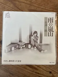 2026年最新】長渕 雨の嵐山の人気アイテム - メルカリ