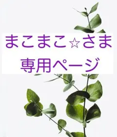 まこまこ⭐︎さま専用ページ