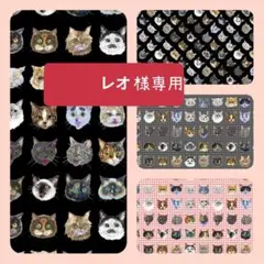 レオ様専用ページ