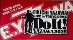 矢沢永吉 E.YAZAWA スペシャルビーチタオル Do it!のサムネイル