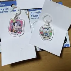 Disney アクリルチャーム めじるしチャーム　2個セットのサムネイル