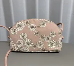 ユニクロ Paul & JOE バッグ