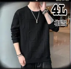 (42)4L相当スウェット 長袖Tシャツ立体文字デザイン 大きいサイズ