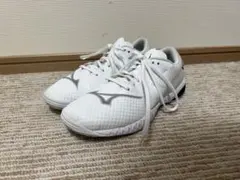 極美品❗️LI-NING AYZT005 バドミントンシューズ 軽量 高反発 4E