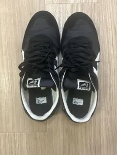 Item thumbnail for item ca82cf72-1f6d-4abf-a3b0-969038d6d453