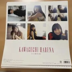 2026年最新】川口春奈の人気アイテム - メルカリ