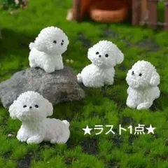 ラスト1点 犬 フィギュア プードル トイプードル ミニフィギュア4種セット