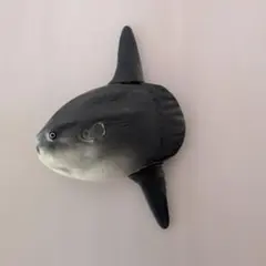 希少　廃盤　タカラトミー　アニア　マンボウのサムネイル
